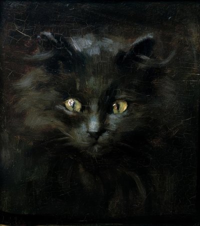 Portret kota autorstwa Julius Adam