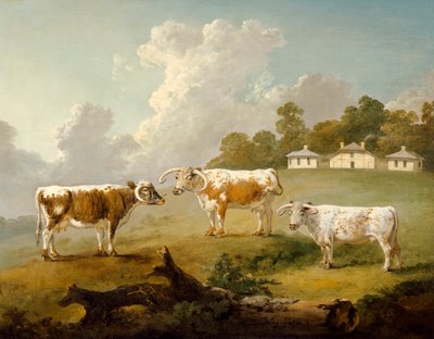 „Trzy długorogie bydło w Kenwood”, 1797 autorstwa Julius Caesar Ibbetson