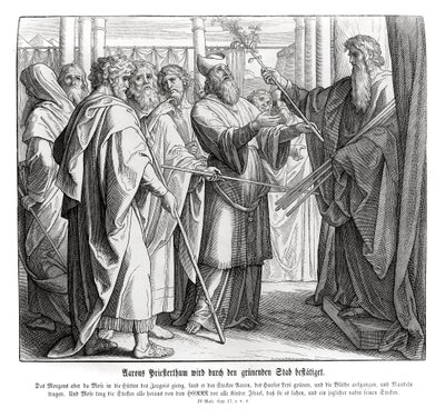 Potwierdzenie kapłaństwa Aarona, Liczby autorstwa Julius Schnorr von Carolsfeld