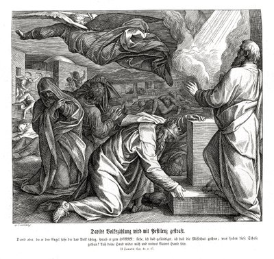 Dawid zostaje ukarany za liczenie ludu, 2 Samuela autorstwa Julius Schnorr von Carolsfeld