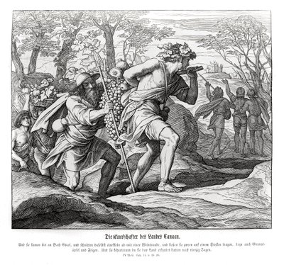 Zwiadowcy do ziemi Kanaan, Liczby autorstwa Julius Schnorr von Carolsfeld