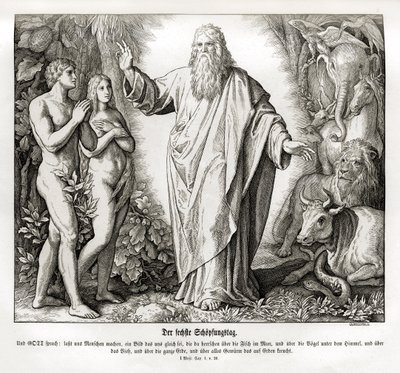 Szósty dzień stworzenia, Genesis autorstwa Julius Schnorr von Carolsfeld