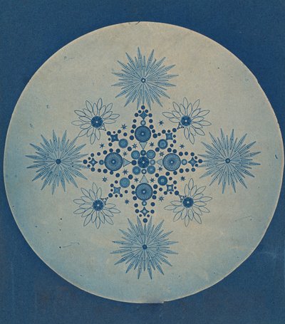 [Okrzemki Okrzemkowe], ok. 201 1870. autorstwa Julius Wiesner.