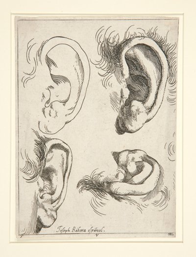 Badania czterech uszu autorstwa Jusepe de Ribera