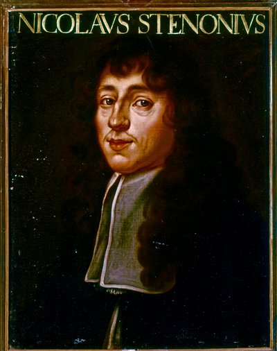 Portret Nicolasa Steno (olej) autorstwa Justus Sustermans