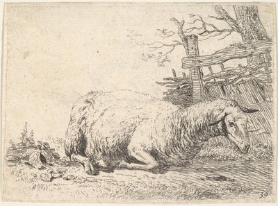 Owca leżąca z nogami podwiniętymi pod ciałem przy drewnianym płocie, ona…, ca. 1655. autorstwa Karel Du Jardin
