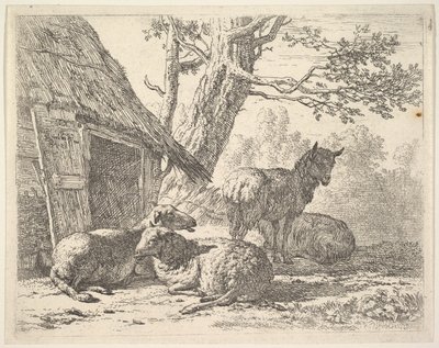 Cztery owce, jedna owca stoi wśród trzech innych leżących na ziemi obok szopy z tr..., 1658. autorstwa Karel Du Jardin