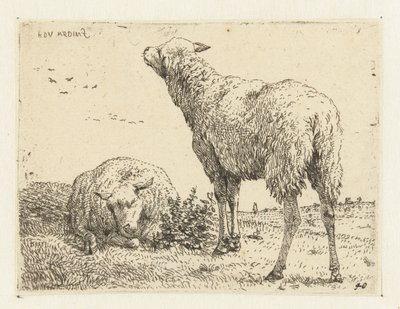 Dwie owce autorstwa Karel Du Jardin