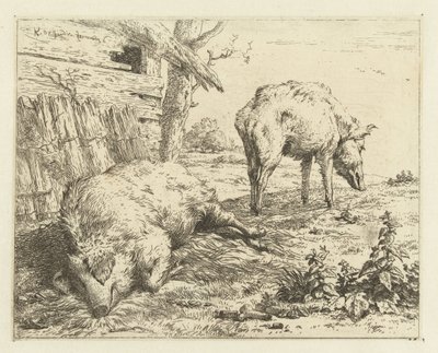 dwa knury autorstwa Karel Du Jardin