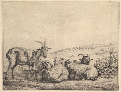 Dwie kozy i trzy owce, 1655. autorstwa Karel Du Jardin