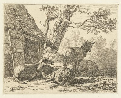 Cztery owce autorstwa Karel Du Jardin