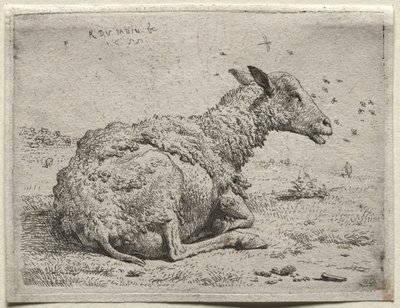 Owce i muchy. autorstwa Karel Dujardin