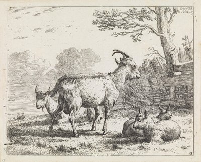  autorstwa Karel Dujardin