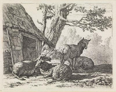  autorstwa Karel Dujardin