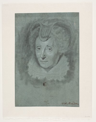 Portret damy. Ludwika de Coligny. autorstwa Karel van III Mander