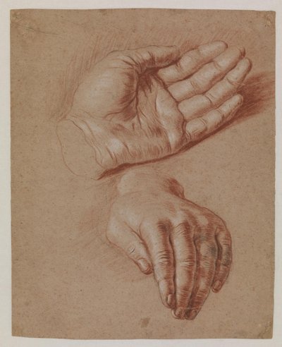 Badania dwóch rąk. autorstwa Karel van III Mander