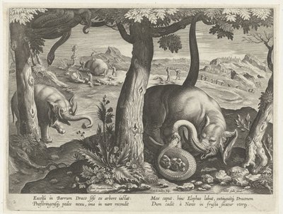 Olifant poznał slang w walce Jachttaferelen (tytuł serii) Polowanie na zwierzynę, ptactwo i ryby w Bestiariuszu (tytuł serii) autorstwa Karel van Mallery (attributed to)