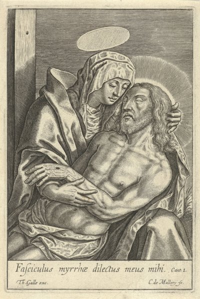 Pieta autorstwa Karel van Mallery