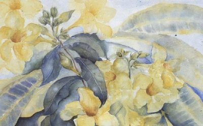 Alamanda lub żółte dzwonki autorstwa Karen Armitage