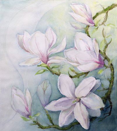 Magnolie (wc) autorstwa Karen Armitage