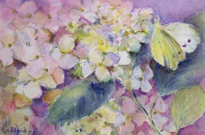 Blady zachmurzony żółty motyl, colias hyale na hortensji autorstwa Karen Armitage