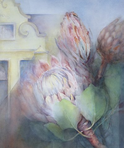 Protea w Stellenbosch, 1992 (wc) autorstwa Karen Armitage