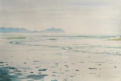 Mglisty nadmorski krajobraz autorstwa Karin Bos