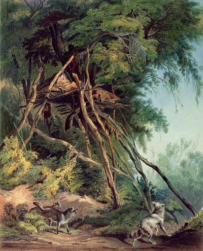 Grobowce Indian Assiniboin na drzewach, płyta 30 z tomu 2 "Podróży w głąb Ameryki Północnej". autorstwa Karl (after) Bodmer