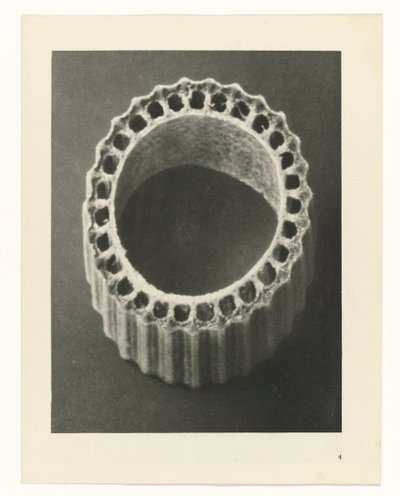 Badania roślin Archetypy sztuki: fotograficzne wizerunki roślin (tytuł serii) autorstwa Karl Blossfeldt