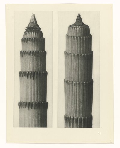 zaplanuj naukę Archetypy sztuki (tytuł serii) autorstwa Karl Blossfeldt
