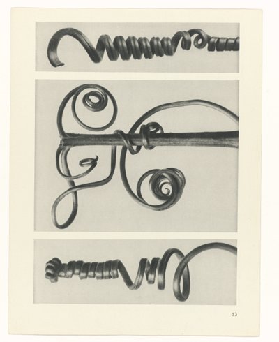 zaplanuj naukę Archetypy sztuki (tytuł serii) autorstwa Karl Blossfeldt