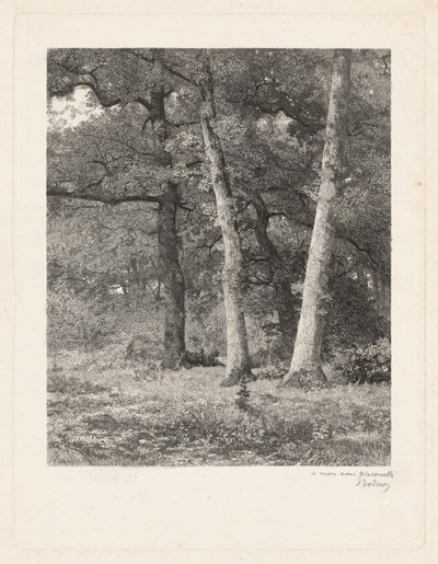 Leśna polana autorstwa Karl Bodmer
