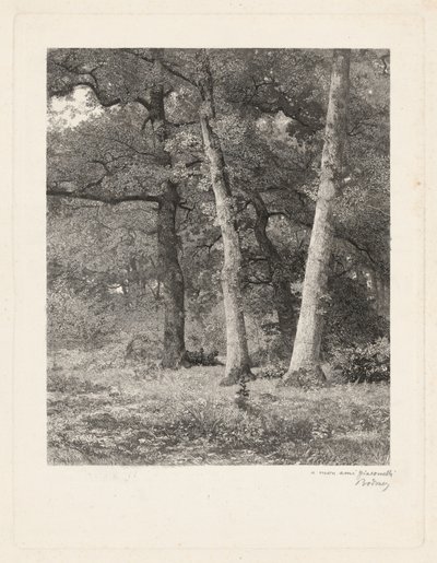  autorstwa Karl Bodmer