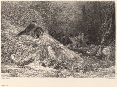Chroniony przed mrozem. autorstwa Karl Bodmer