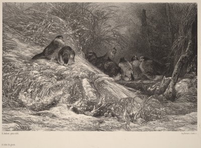 Zabezpieczone przed mrozem autorstwa Karl Bodmer
