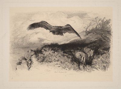 Orzeł w locie autorstwa Karl Bodmer
