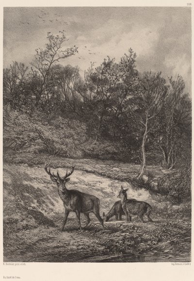 Na brzegu. autorstwa Karl Bodmer