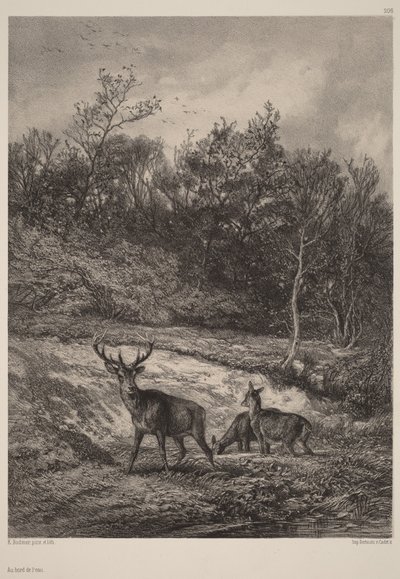  autorstwa Karl Bodmer