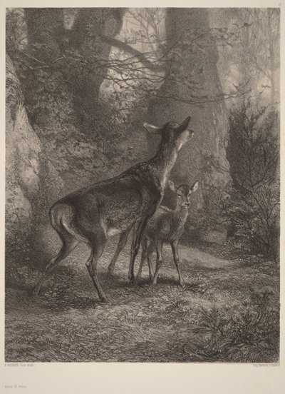 Łania i jelonek autorstwa Karl Bodmer