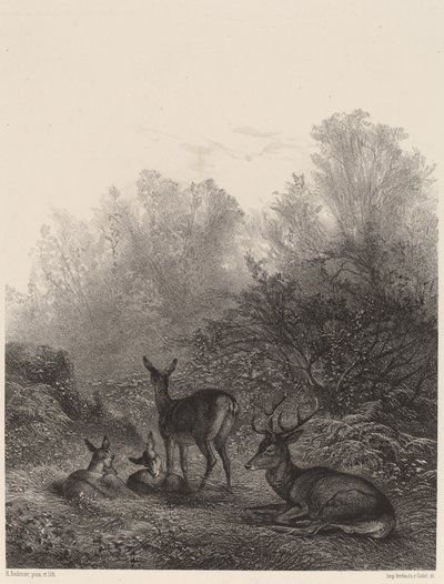 Jeleń odpoczywa autorstwa Karl Bodmer