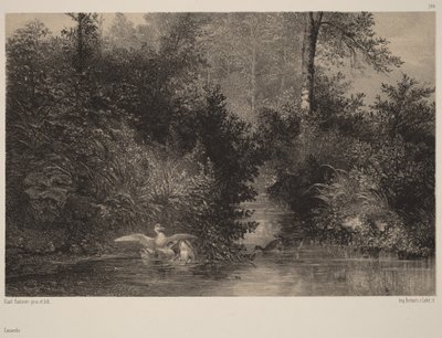 autorstwa Karl Bodmer