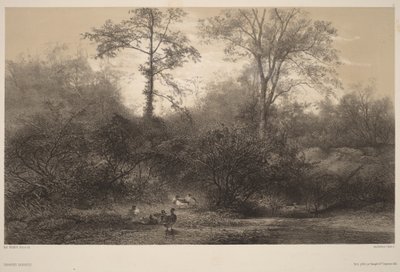  autorstwa Karl Bodmer