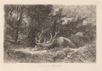 Jeleń a la Reposee autorstwa Karl Bodmer