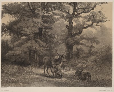  autorstwa Karl Bodmer