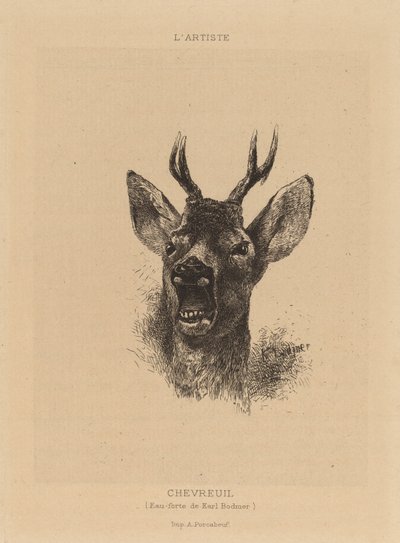 Jeleń. autorstwa Karl Bodmer