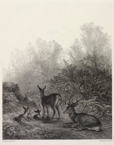 Jeleń w spoczynku autorstwa Karl Bodmer