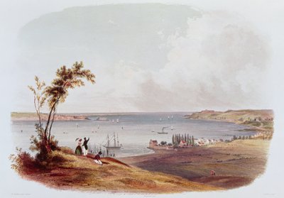 Wejście do Zatoki Nowego Jorku, Staten Island, grawerowane przez Salathe (kolor lito) autorstwa Karl Bodmer