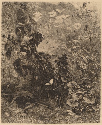 Ślimaki i motyle. autorstwa Karl Bodmer