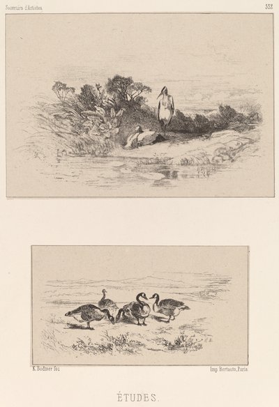 Studia autorstwa Karl Bodmer