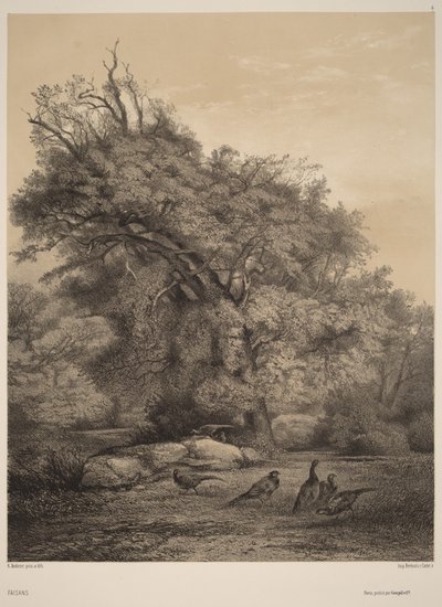  autorstwa Karl Bodmer